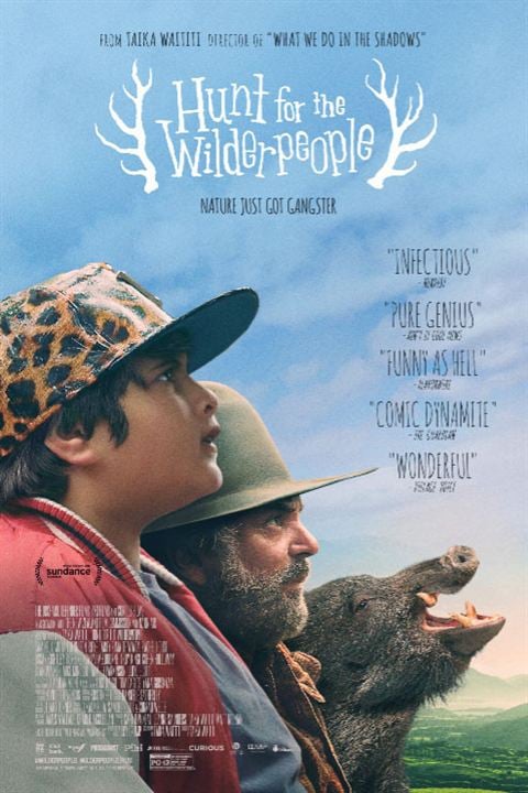 Hunt For The Wilderpeople : Afiş