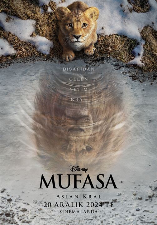 Mufasa: Aslan Kral : Afiş