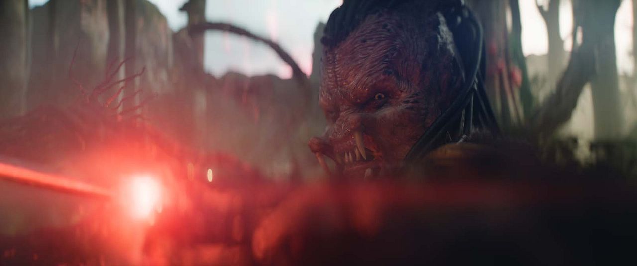 Predator: Vahşi Topraklar : Fotoğraf Dimitrius Schuster-Koloamatangi