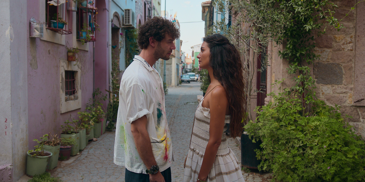 Zeytin Ağacı : Fotoğraf