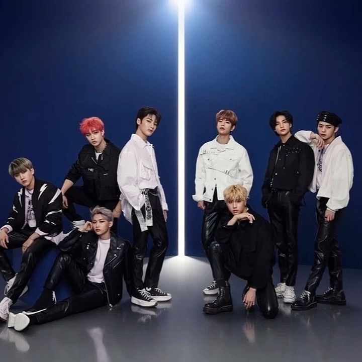 Afiş Stray Kids 