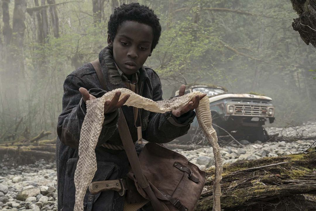 Asla Bırakma : Fotoğraf Anthony B. Jenkins