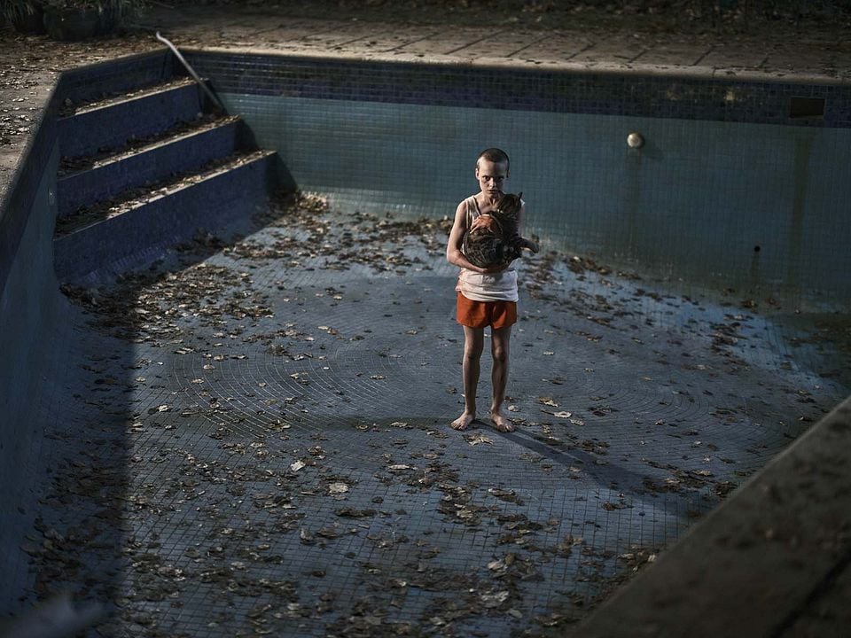 Onu Geri Getir : Fotoğraf Jonah Wren Phillips