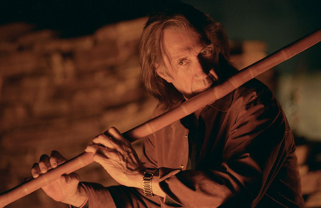 Kill Bill: The Whole Bloody Affair : Fotoğraf David Carradine