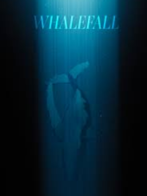 Whalefall : Afiş