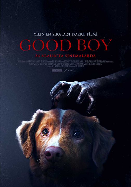Good Boy : Afiş