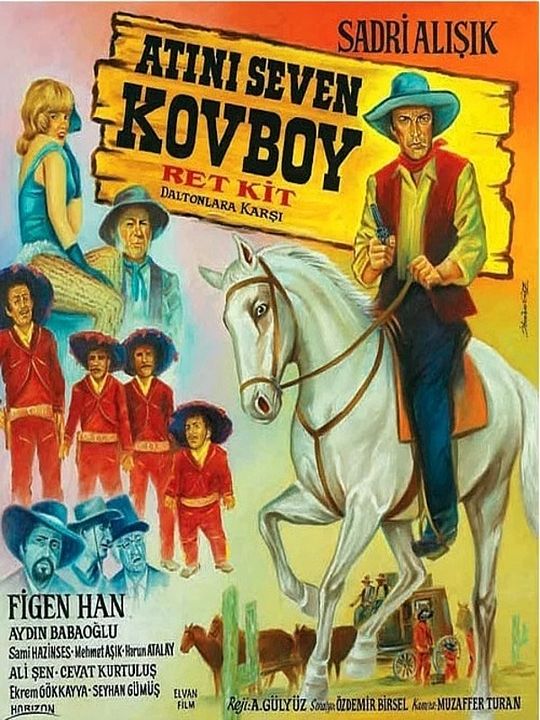 Atını Seven Kovboy : Afiş