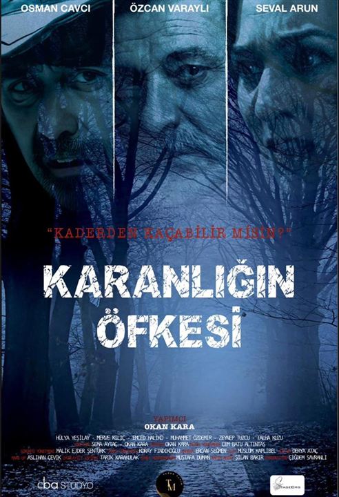 Karanlığın Öfkesi : Afiş