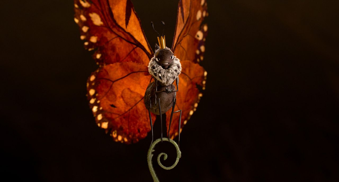 Hoplayanlar : Fotoğraf