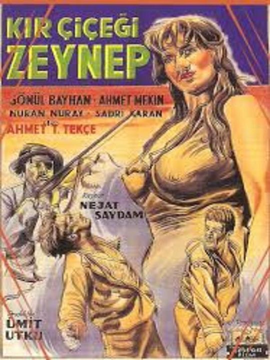 Kır Çiçeği Zeynep : Afiş