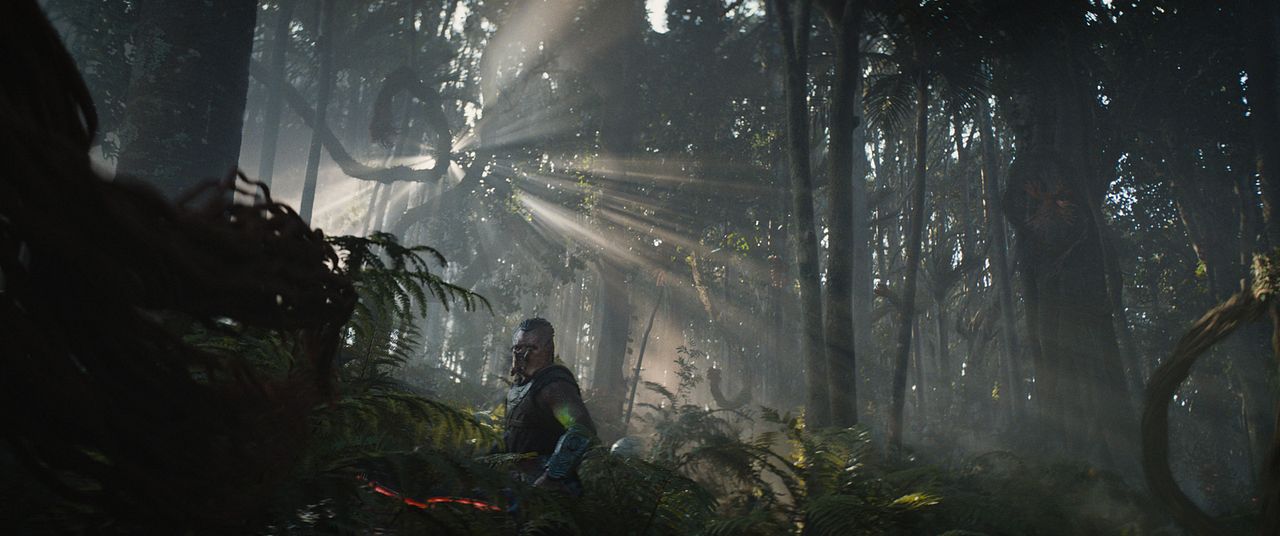 Predator: Vahşi Topraklar : Fotoğraf Dimitrius Schuster-Koloamatangi