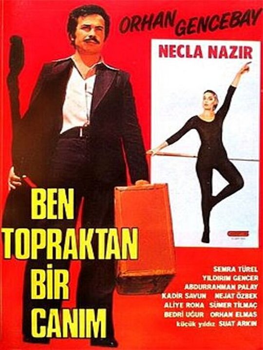 Ben Topraktan Bir Canım : Afiş