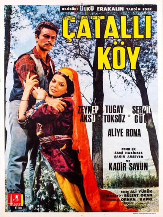 Çatallı Köy : Afiş