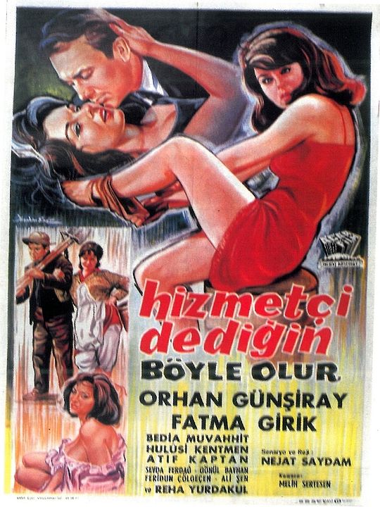 Hizmetçi Dediğin Böyle Olur : Afiş