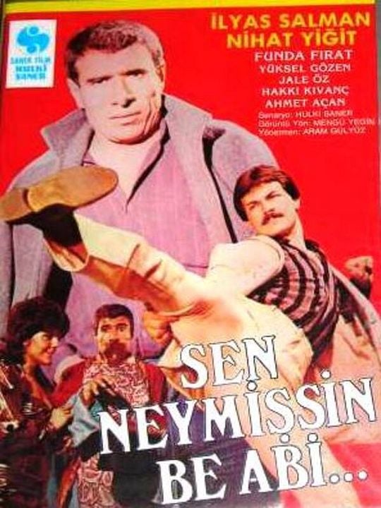 Sen Neymişsin Be Abi : Afiş