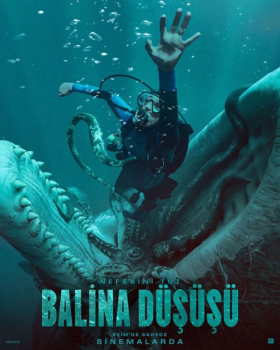  Balina Düşüşü : Afiş