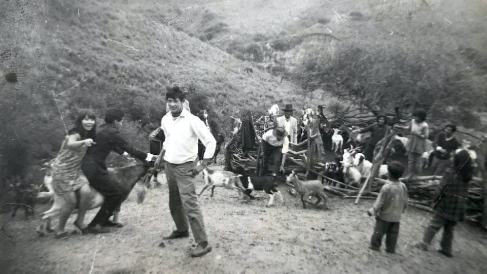 Nuestra Tierra : Fotoğraf