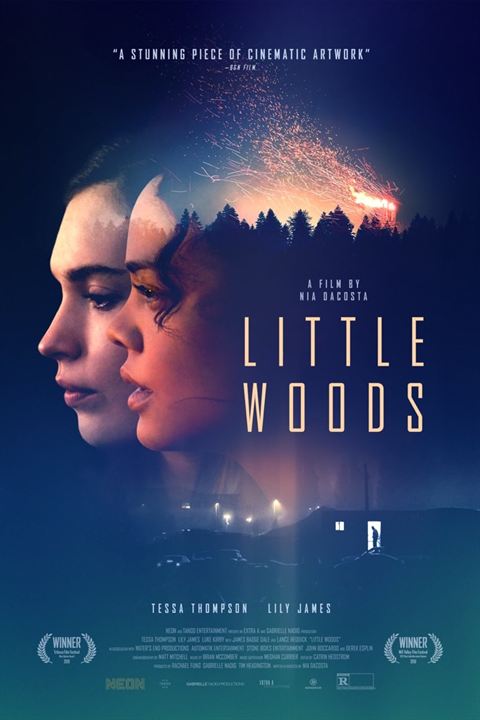 Little Woods : Afiş