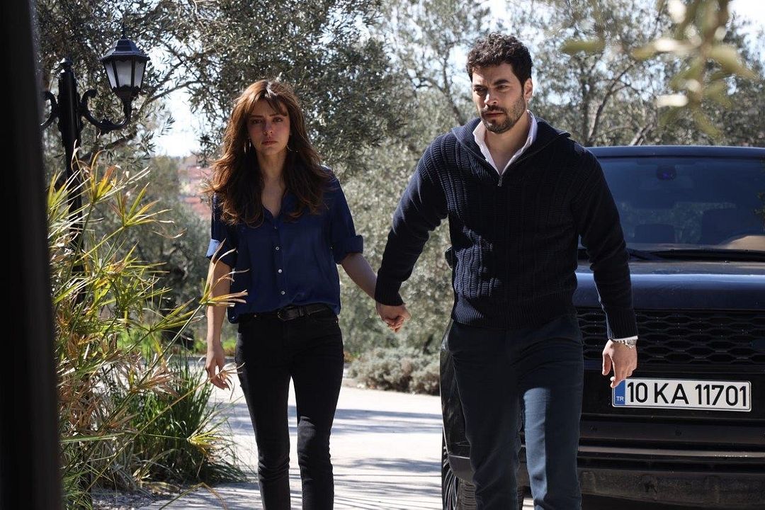 Yaban Çiçekleri : Fotoğraf