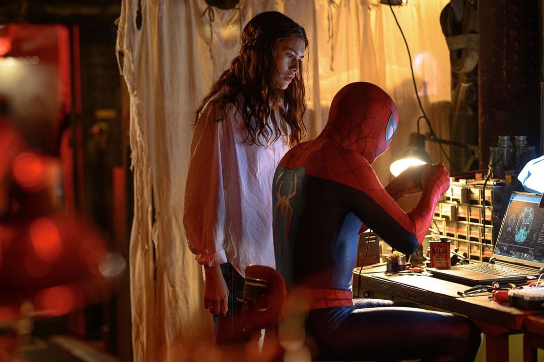 Örümcek-Adam: Yepyeni Bir Gün : Fotoğraf Zendaya, Tom Holland