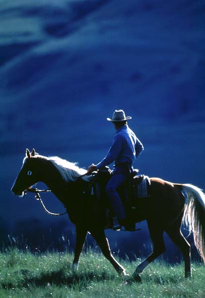 Atlara Fısıldayan Adam : Fotoğraf Robert Redford
