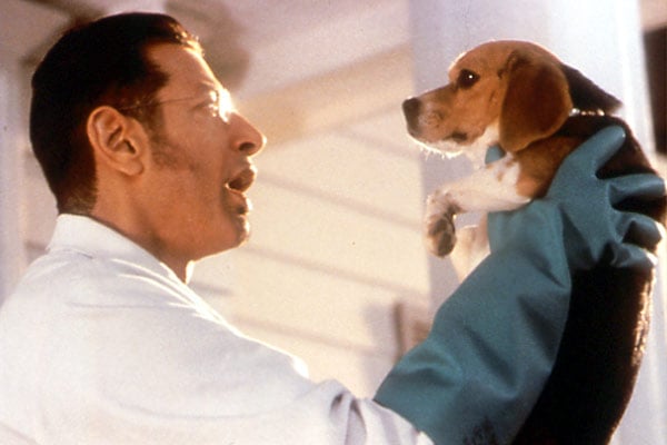 Kediler ve Köpekler : Fotoğraf Jeff Goldblum, Lawrence Guterman