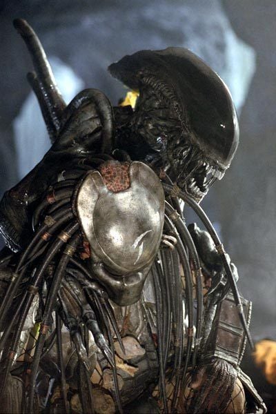 Alien Predator’e Karşı : Fotoğraf