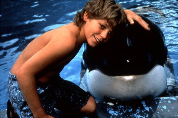 Free Willy : Fotoğraf