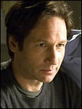 Afiş David Duchovny