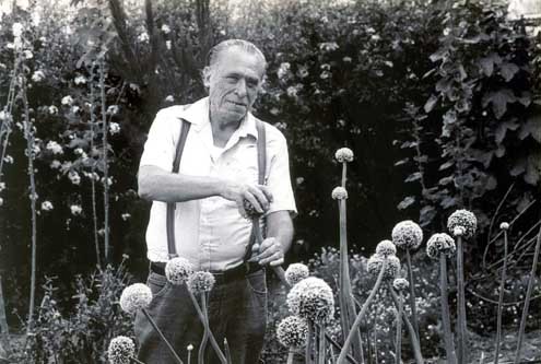 Fotoğraf Charles Bukowski