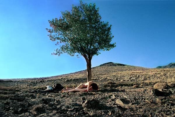 Fotoğraf Mitra Farahani