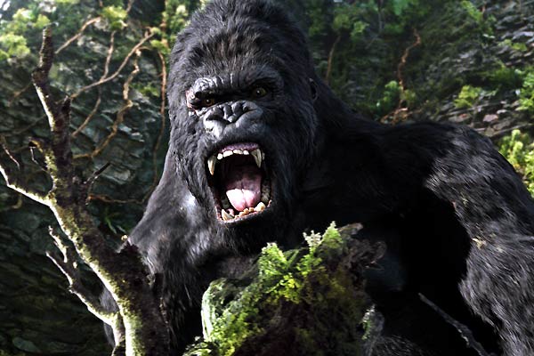 King Kong : Fotoğraf