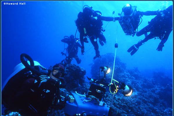 Fotoğraf Greg MacGillivray