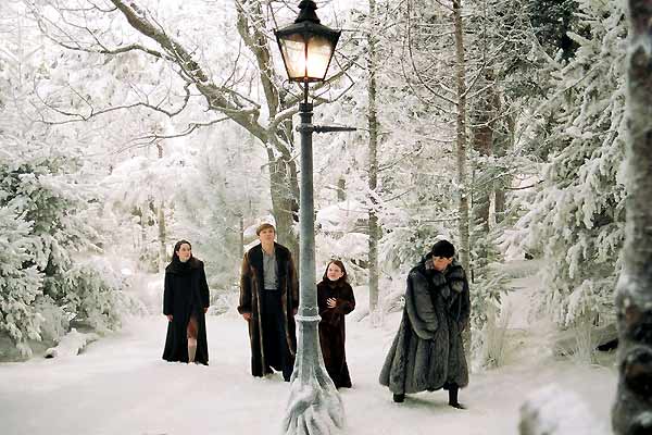 Narnia Günlükleri: Aslan, Cadı ve Dolap : Fotoğraf Andrew Adamson