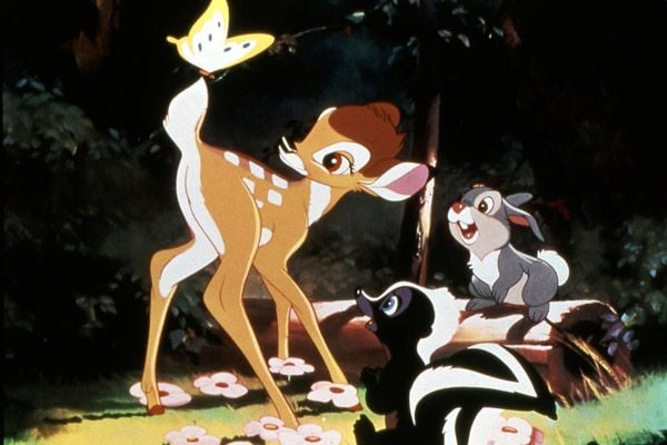 Bambi : Fotoğraf