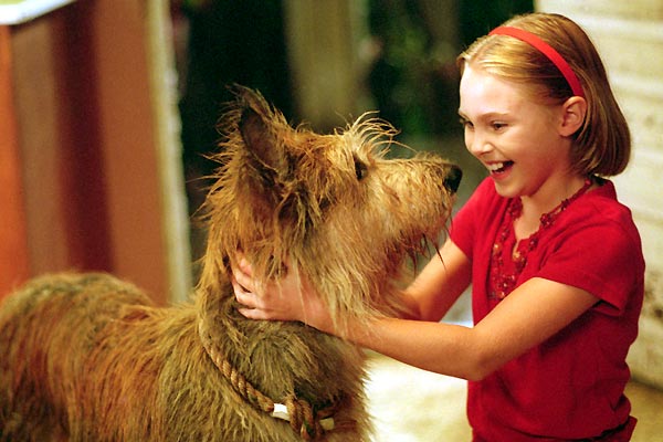 Because of Winn-Dixie : Fotoğraf Wayne Wang, AnnaSophia Robb