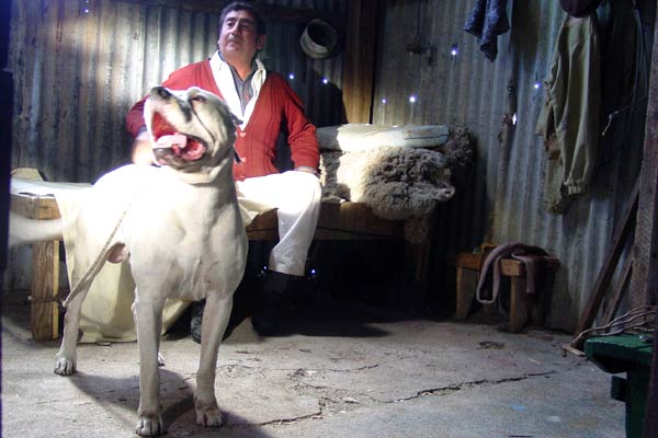 Bombon Köpek : Fotoğraf Carlos Sorín