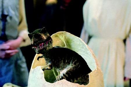 Dinotopia : Fotoğraf