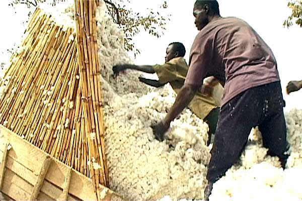 Fotoğraf Olivier Zuchuat