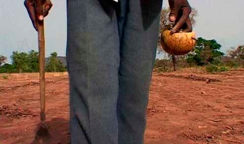 Fotoğraf Olivier Zuchuat