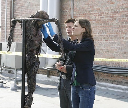 Fotoğraf Emily Deschanel, David Boreanaz