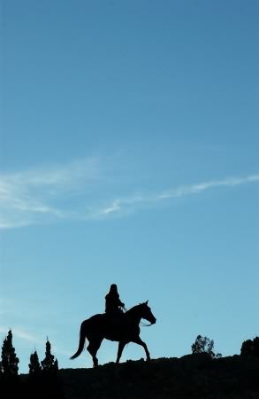 Wildfire : Fotoğraf