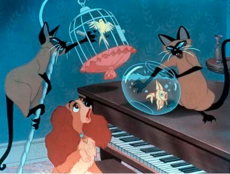 Lady ile Sokak Köpeği : Fotoğraf Hamilton Luske