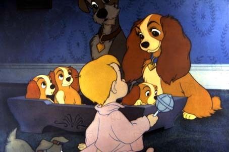 Lady ile Sokak Köpeği : Fotoğraf Hamilton Luske