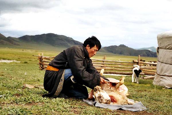 Sarı Köpeğin Yuvası : Fotoğraf Byambasuren Davaa