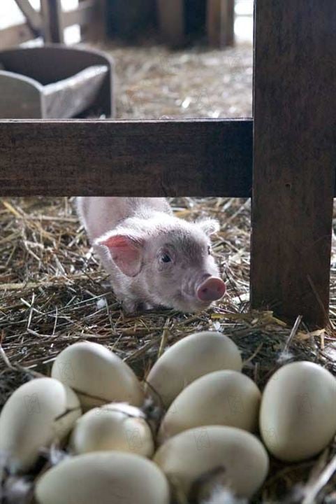 Minik Örümcek Şarlot : Fotoğraf Gary Winick