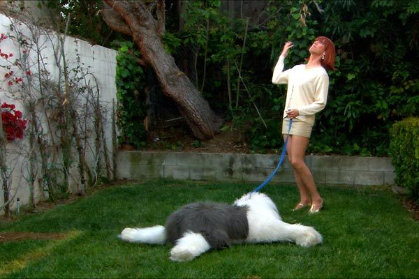 Fotoğraf Richard Day