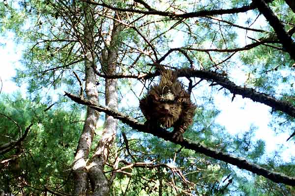 Terabithia Köprüsü : Fotoğraf Gábor Csupó