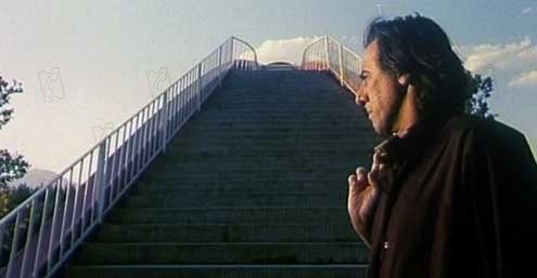 Fotoğraf Sepideh Farsi