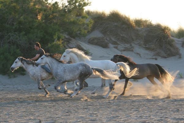 Fotoğraf Valérie Guignabodet